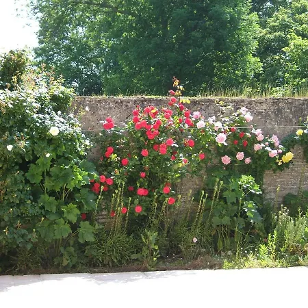 فيلة Sainte Elisabeth Ver-sur-Mer