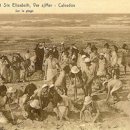 فيلة Sainte Elisabeth *